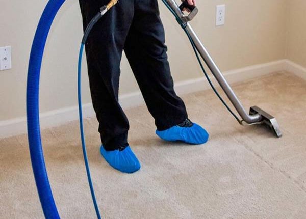 Carpet Cleaning Care Florida Carpet Cleaner Kings Directory
