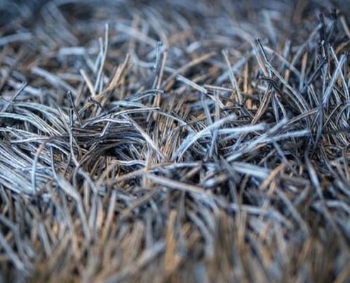 Florida Carpet Cleaning Directory Florida Carpet Cleaning Directory