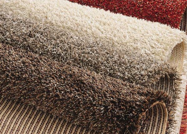 Florida Carpet Cleaner Kings Directory