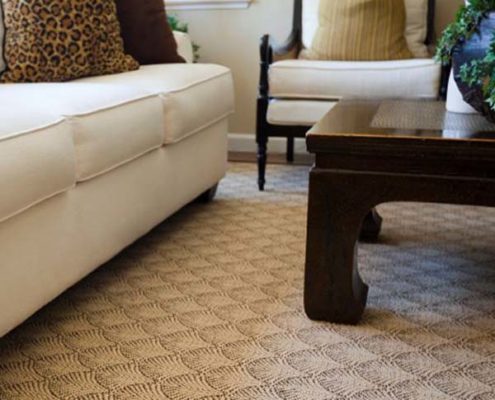 Florida Carpet Kings directory Florida Carpet Cleaners Directory