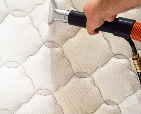 Florida Carpet Kings Directory Florida Carpet Cleaners Directory