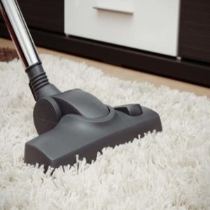Florida Carpet Cleaners Directory