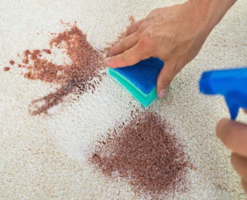Florida Carpet Kings Florida Carpet Cleaners Directory