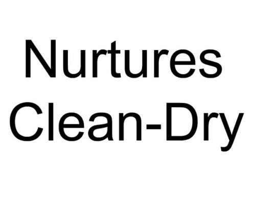Florida Carpet Cleaners