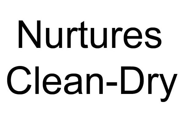 Florida Carpet Cleaners