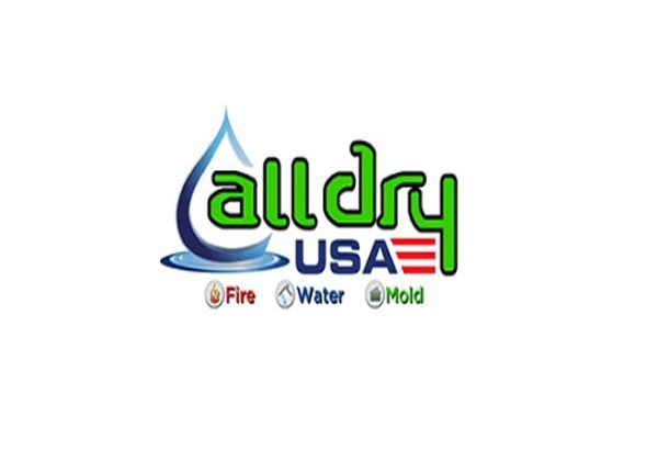 All Dry Florida Carpet Kings