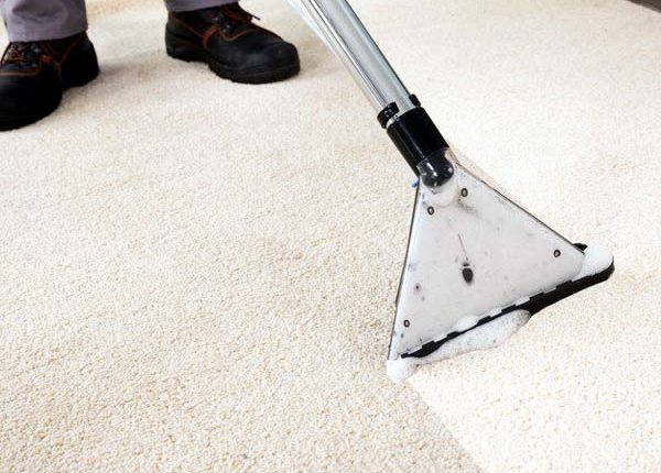 Florida Carpet Cleaner Kings Directory