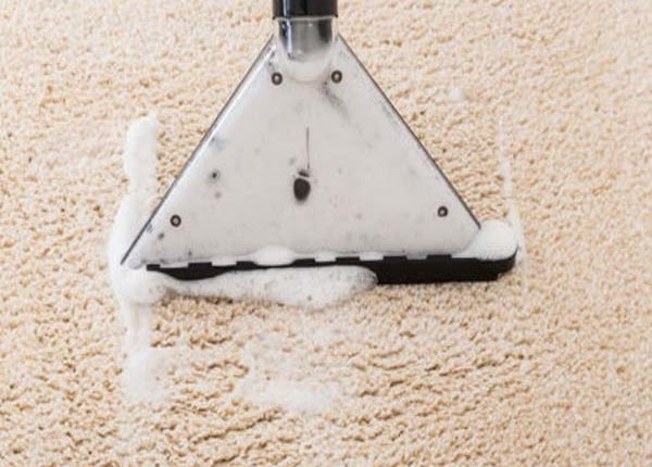 Florida Carpet Cleaner Kings Directory