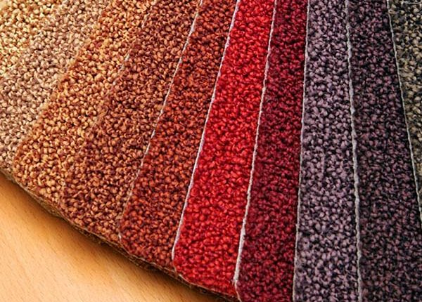 Florida Carpet Cleaner Kings Directory