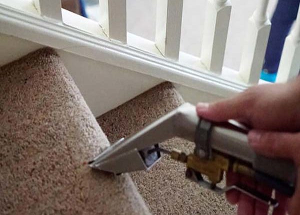 Florida Carpet Cleaner Kings Directory