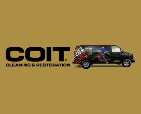 Florida carpet cleaners
