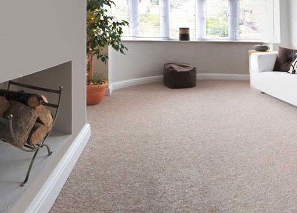 Florida Carpet Cleaner Kings Directory