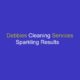 Florida Carpet Cleaners