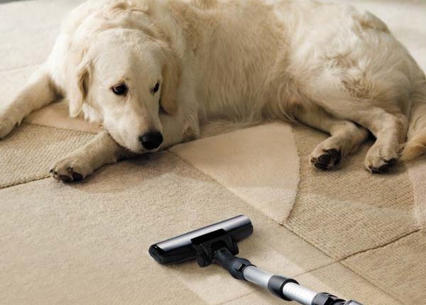 Carpet Cleaning Lakeside,FL . Carpet Cleaning Brandon FL . Carpet Cleaning Panama City Beach, FL.