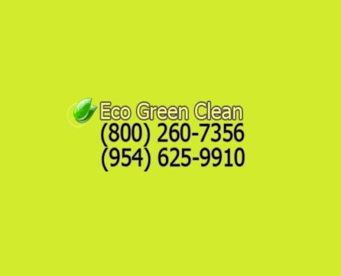 Florida Carpet Cleaners