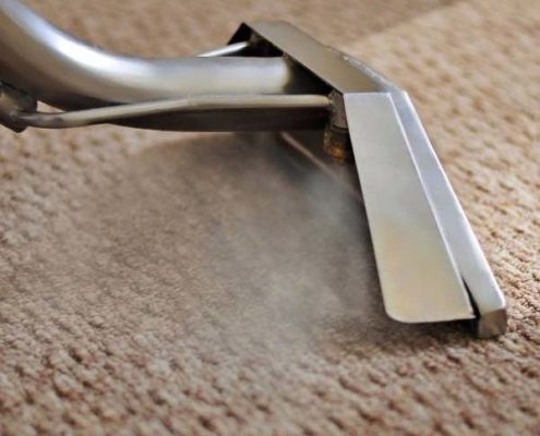 Florida Carpet Cleaners Kings Florida Carpet Cleaners Kings