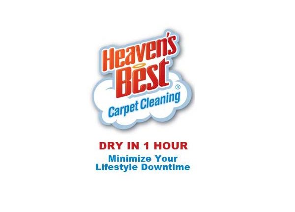 Florida Carpet Cleaner Kings Directory