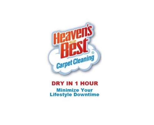 Florida carpet cleaners kings
