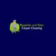 Florida Carpet Cleaners