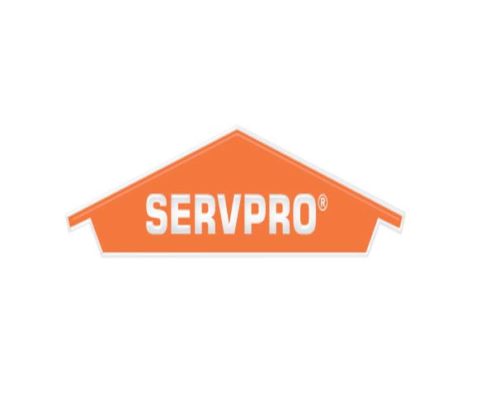 Florida carpet cleaners Directory