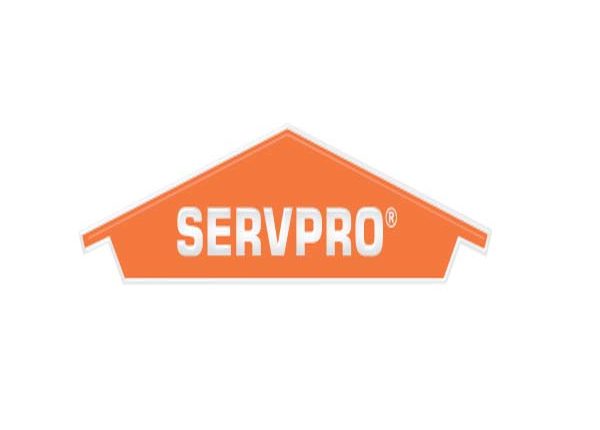 Florida carpet cleaners Directory