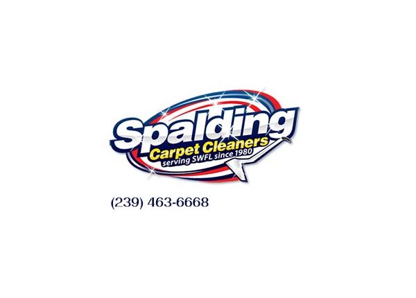 Florida Carpet cleaning