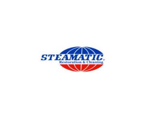 FLORIDA CARPET CLEANERS