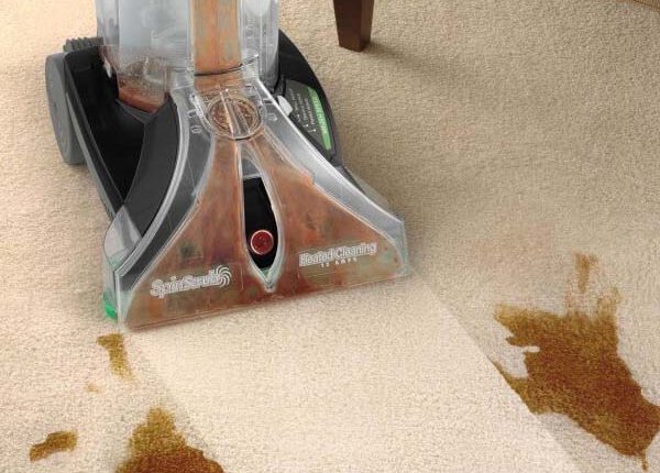 Stain Removal Machine Florida Carpet Cleaner Kings Directory