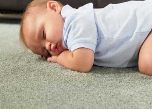 Florida Carpet Cleaner Kings Directory