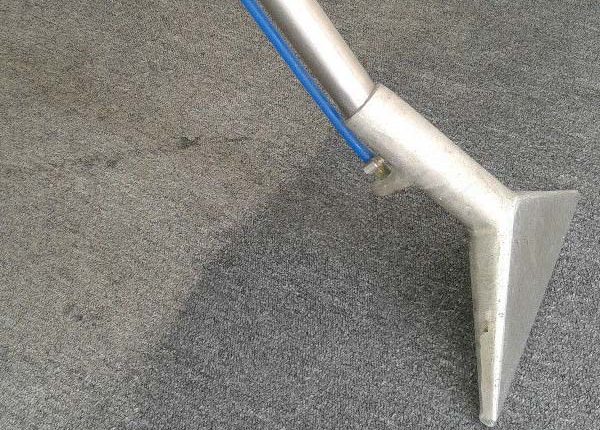 carpet cleaning Florida Carpet Cleaner Kings Directory