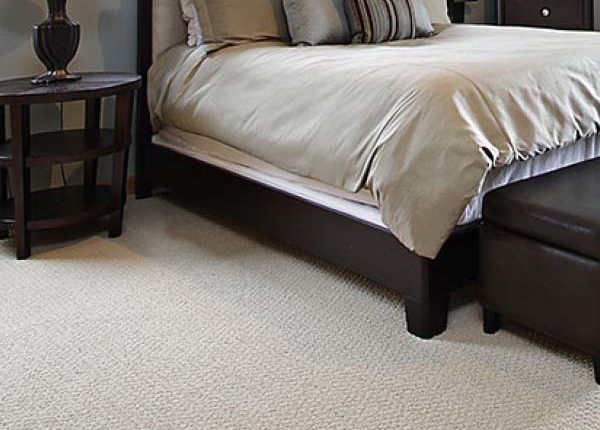 Florida Carpet Cleaner Kings Directory