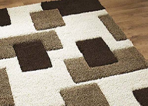 Florida Carpet Cleaner Kings Directory