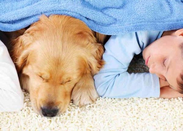 Carpet Cleaning Mango, FL . Carpet Cleaning Largo, FL . Carpet Cleaning Dalkeith, FL .