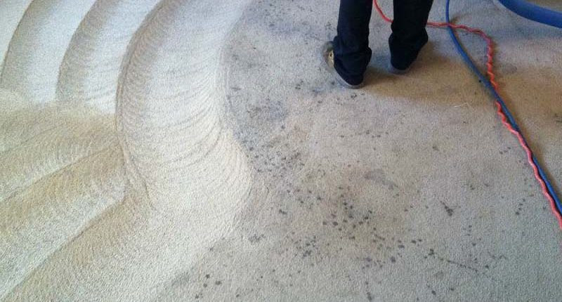 Florida Carpet Cleaner Kings Directory