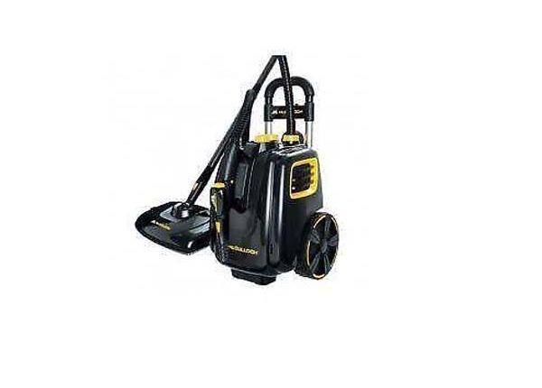Carpet Cleaning Machine Florida Carpet Cleaner Kings Directory