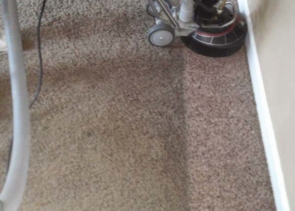 Florida Carpet Cleaner Kings Directory