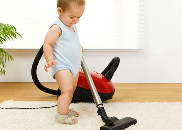 Florida Carpet Cleaner Kings Directory Florida Carpet Cleaner Kings Directory