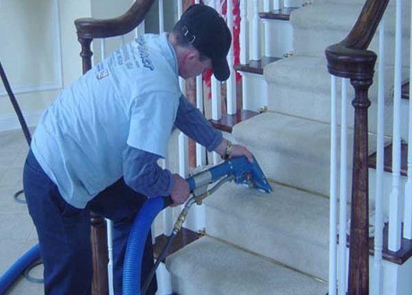 Carpet care Florida Carpet Cleaner Kings Directory