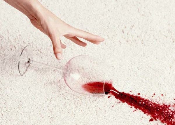 Florida Carpet Cleaner Kings Directory