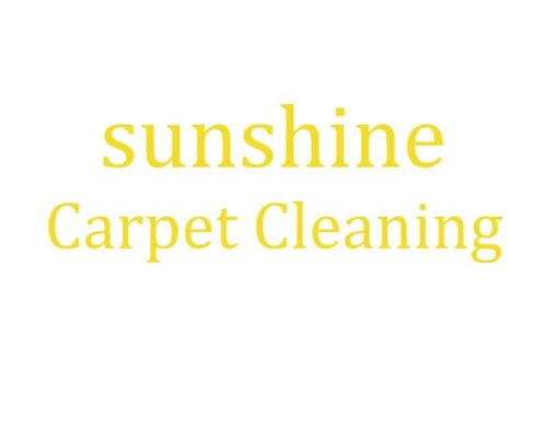 Florida carpet cleaning