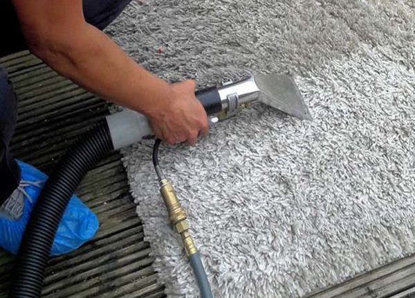 Carpet Care Florida Carpet Cleaner Kings Directory