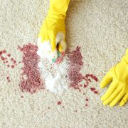 Best Ways to Clean Blood from carpets