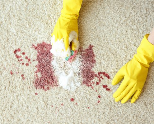 Best Ways to Clean Blood from carpets
