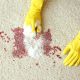 Best Ways to Clean Blood from carpets