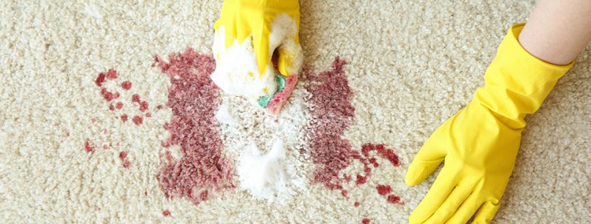 Best Ways to Clean Blood from carpets
