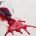 How to Remove Red Wine Stains from Your Carpets