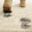 How to get mud out of carpets_