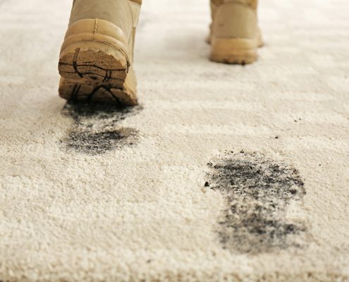 How to get mud out of carpets_