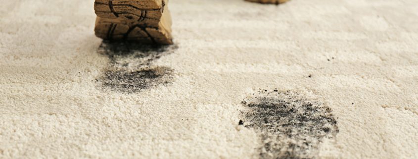 How to get mud out of carpets_